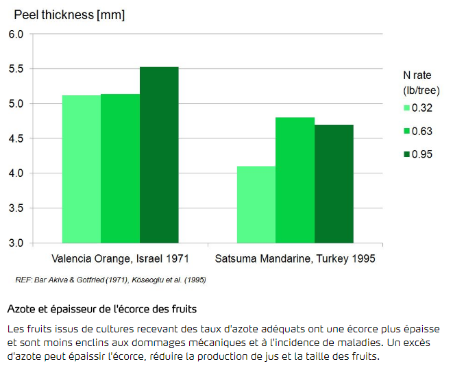 Azote et épaisseur de l'écorce des fruits