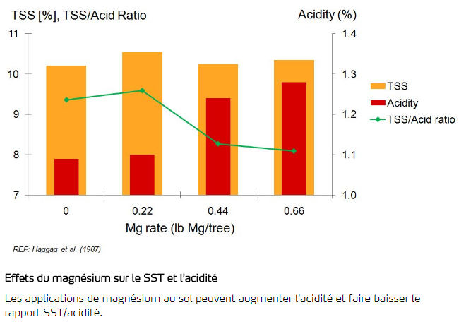 Effets du magnésium sur le SST et l'acidité