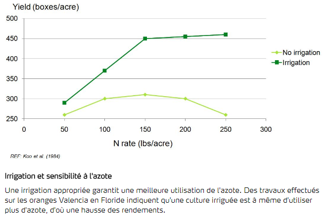 Irrigation et sensibilité à l'azote