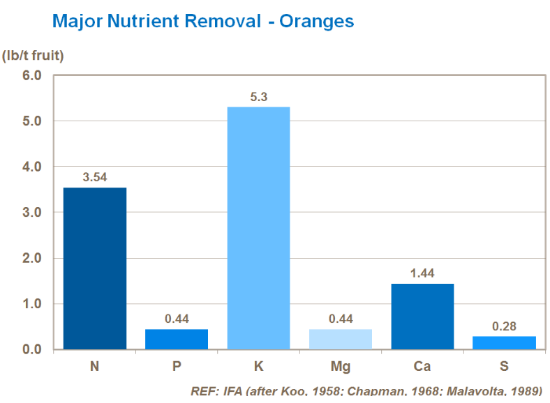 Principales absorptions de nutriments - Oranges 