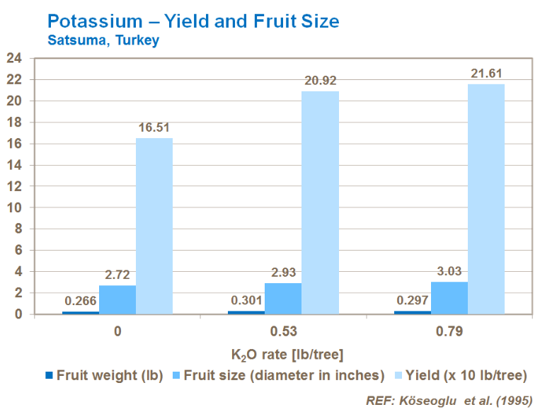 Potassium - Rendement et calibre des fruits - Satsuma