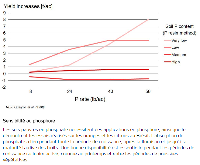 Sensibilité au phosphore