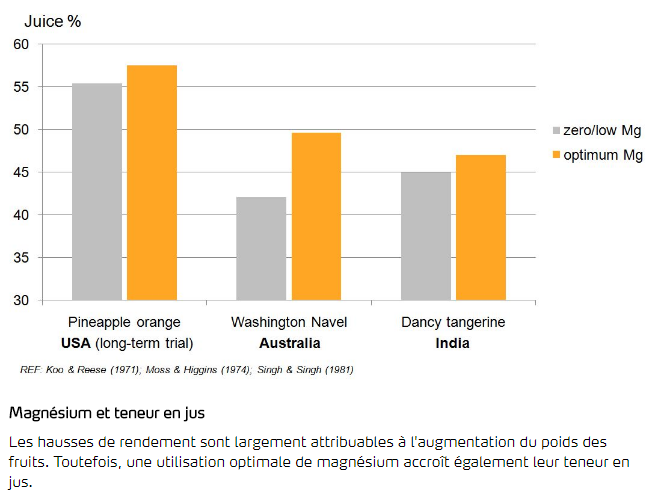 Magnésium et teneur en jus