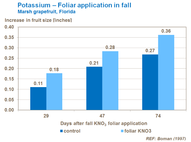 Application foliaire de potassium à l'automne - Pamplemousses