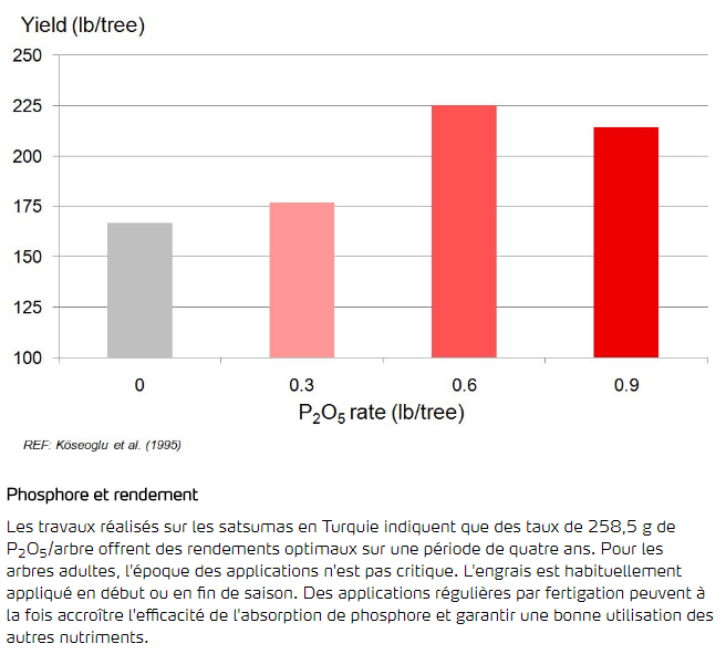 Phosphore et rendement